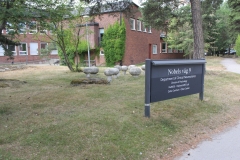 The Stone mushrooms outside The Department of Clinical Neuroscience, Nobels väg 9