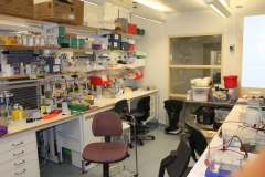 Laboratory CMB