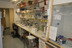 Laboratory CMB