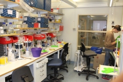 Laboratory CMB