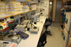 Laboratory CMB