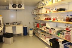 Laboratory CMB
