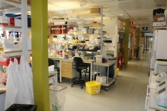 Laboratory CMB