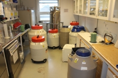 Lab. Integrative physiology with Nitrogen flasks, von Eulers väg 4, level 4, May 2018