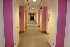 The pink administration corridor