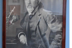 Oscar Hertwig (1849-1922)